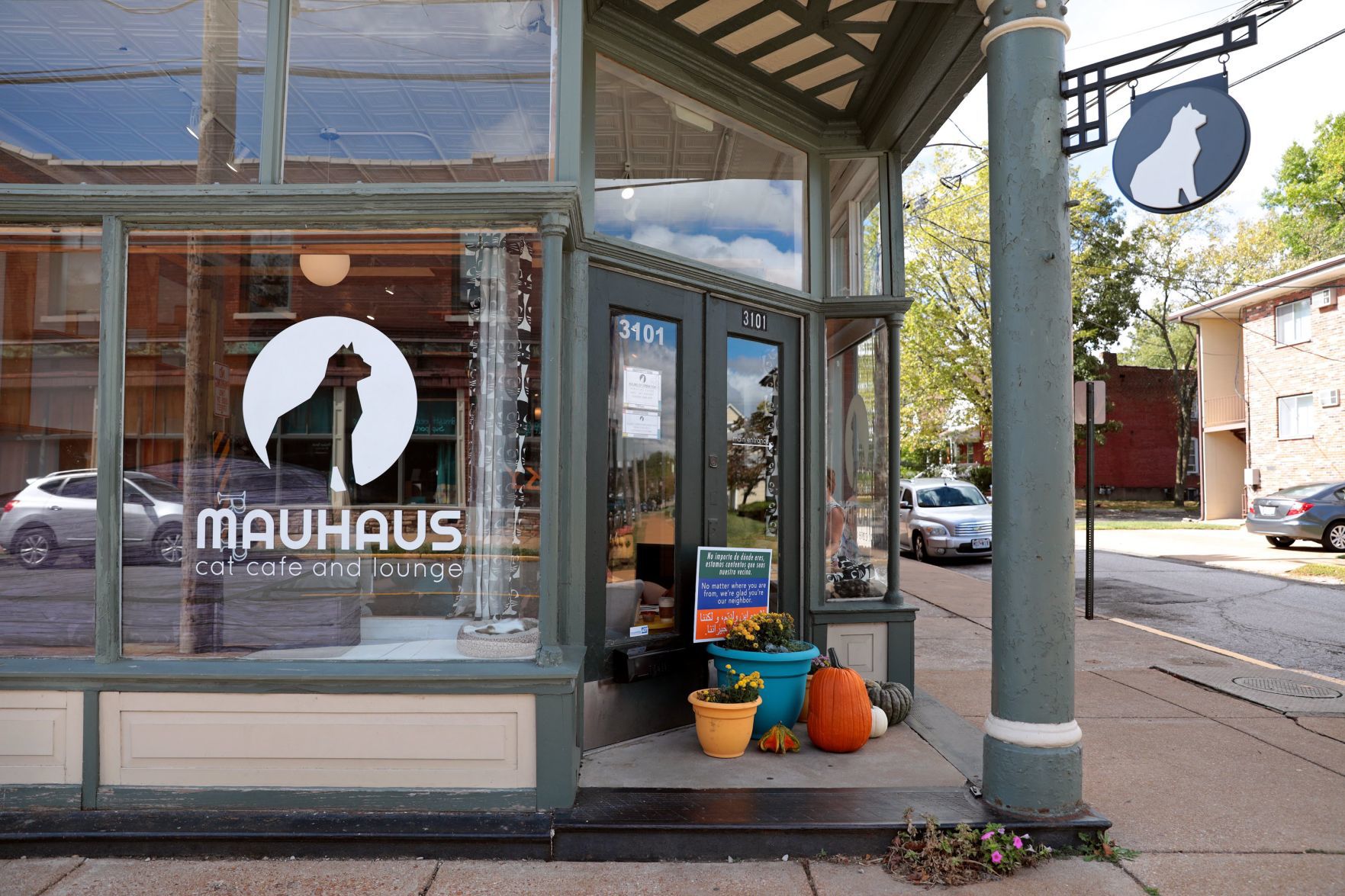 Mauhaus Cat Cafe and Lounge
